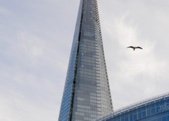 shard